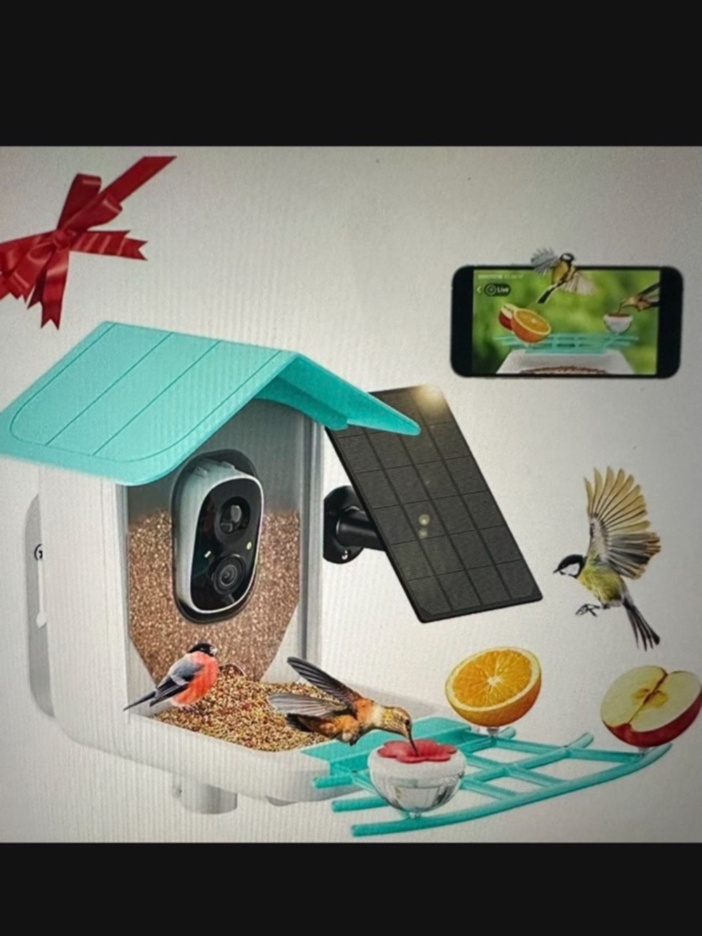Outdoor Solar Bird Feeder & Camera - Aqua Roof